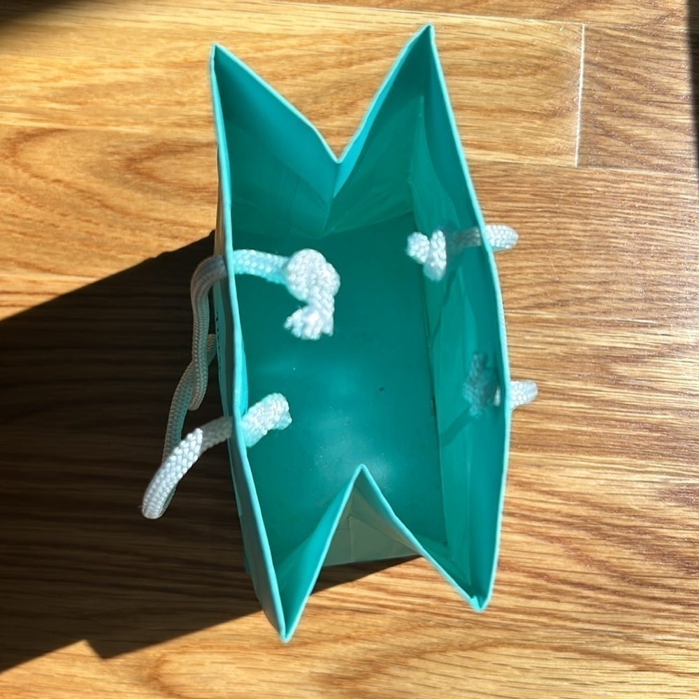 Tiffany and co rope handle merch bag / Tiffany blue and white handle - Picture 4 of 8
